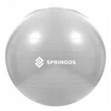 Фитбол Springos 75 cm Anti-Burst FB0008 Grey
